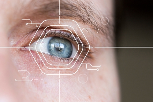 Maximising Functionality: Adaptive Technologies for Wheelchair Users Momentum Healthcare Maximising Functionality: Adaptive Technologies for Wheelchair Users Momentum Healthcare